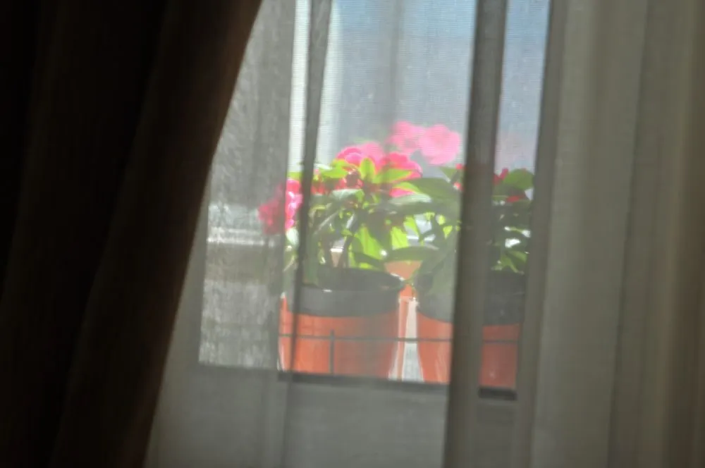Mini hotel Izmir