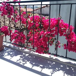  Ξενοδοχείο Casa Magnolia Boutique Τουρκία